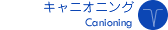 ˥˥