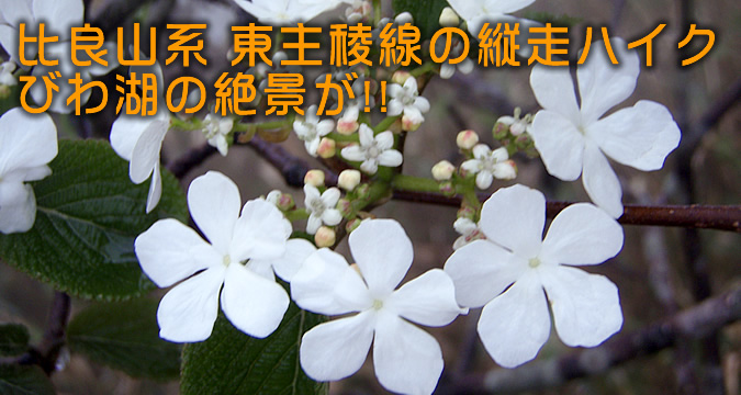 ��ǎR�n ����Ő��̏c���n�C�N�@�т�΂̐�i��!!