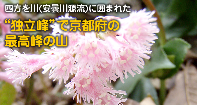 �g�Ɨ���h�ŋ��s�{�̍ō���̎R