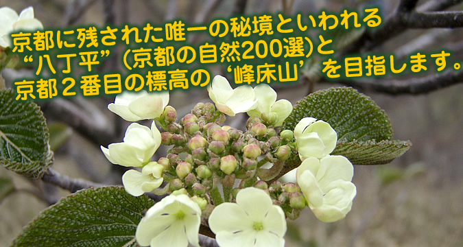 sɎcꂽB̔鋫Ƃgh(s̎R200I)ƋsQԖڂ̕Ẃe􏰎Rfڎw܂B