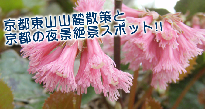 ���s���R�R�[�U��Ƌ��s�̖�i��i�X�|�b�g!!