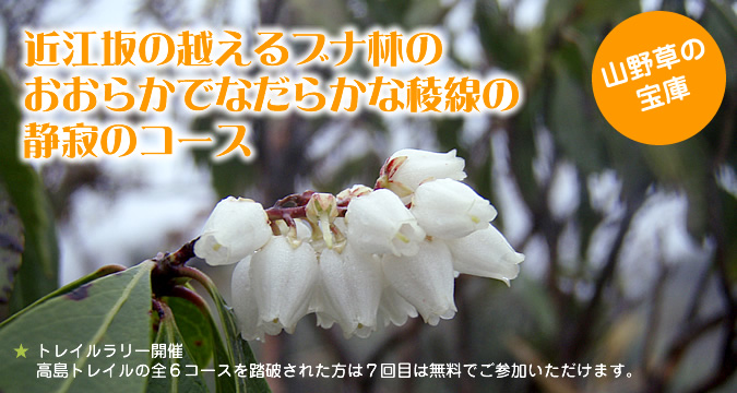 �ߍ]��̉z����u�i�т̂����炩�łȂ��炩�ȗŐ��̐Î�̃R�[�X