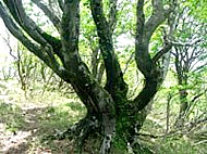 5.����