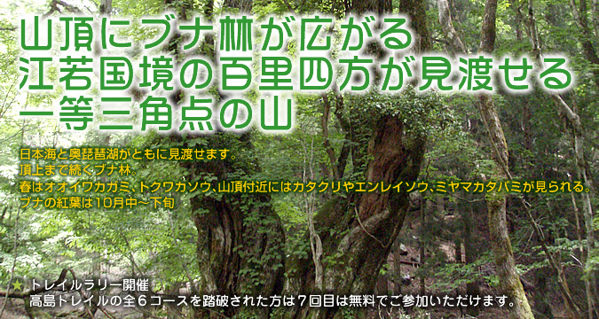 �R���Ƀu�i�т��L����]�ፑ���̕S���l�������n����ꓙ�O�p�_�̎R