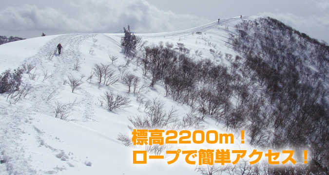 W2200[gI[vEFCŏオkxXm[V[cA[i`tj